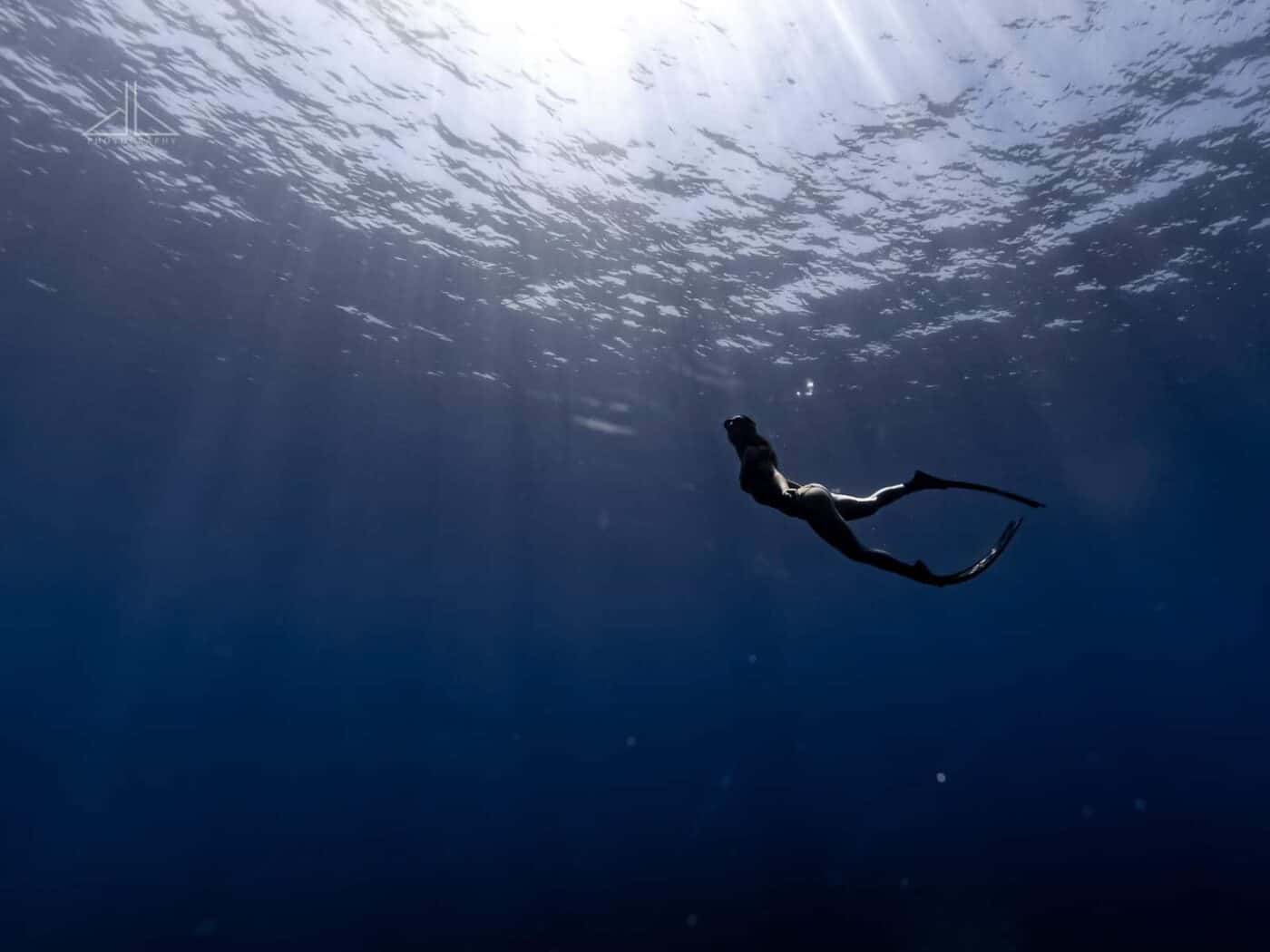 Molchanovs Education Programme All about Freediving Courses in Malta