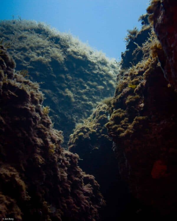 Three rocks overlapping each other forming a reef