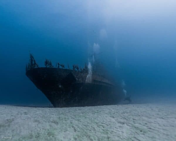 The bow of the P29 wreck sitting on sandy bottom