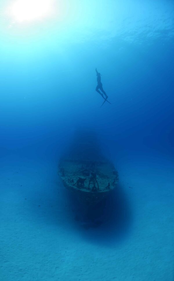 Freediver heading towards surface above P31 wreck