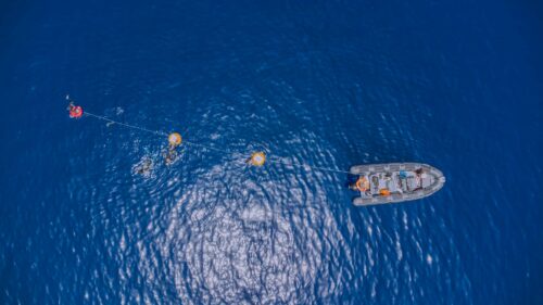 Ariel shot of RIb and freedivers diving.